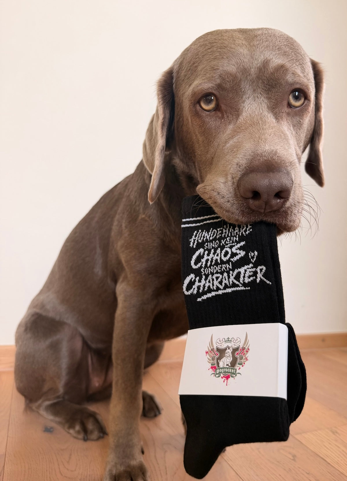 Socken für Hundeliebhaber – Hundehaare inklusive