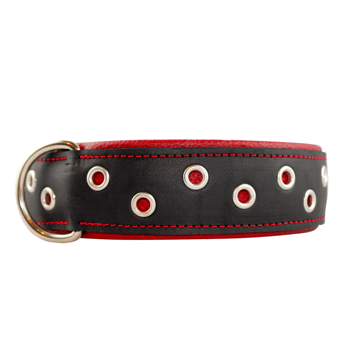Lederhalsband Arthus, mit Lochnieten