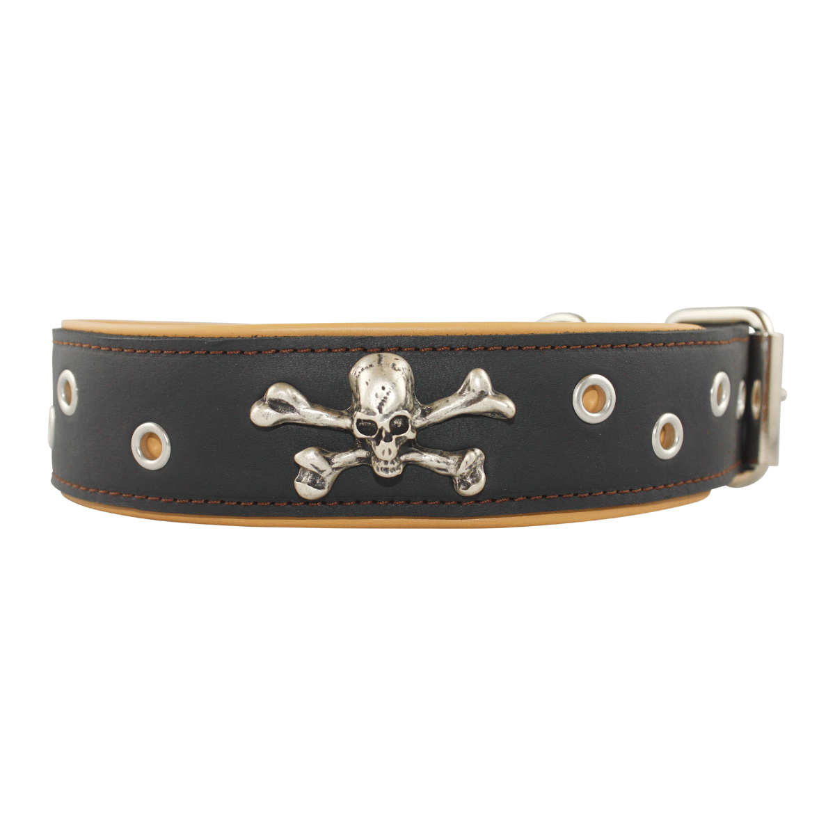 Lederhalsband Toto, mit Totenkopf & Lochnieten