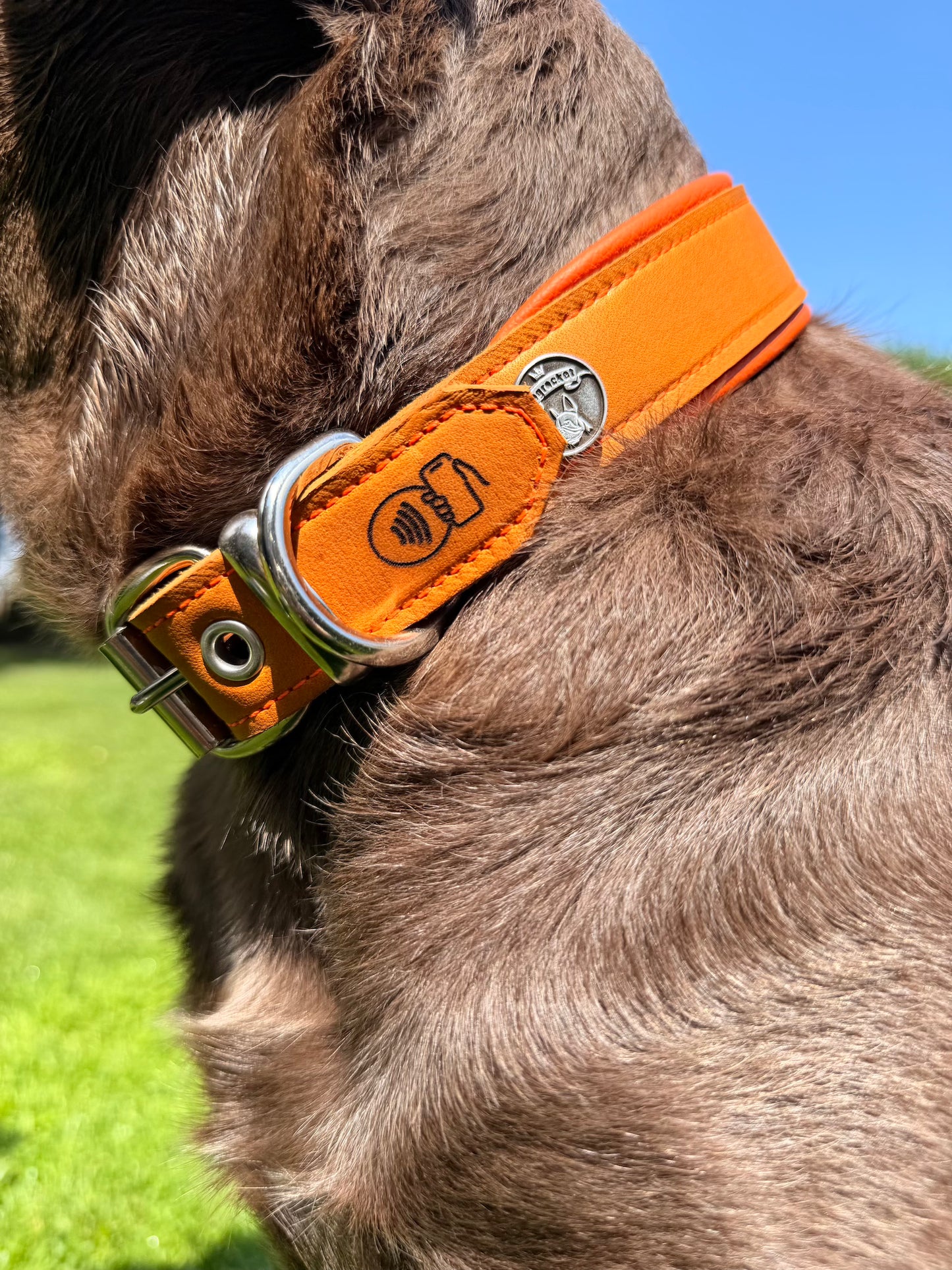 Lederhalsband mit Namen & NFC Chip
