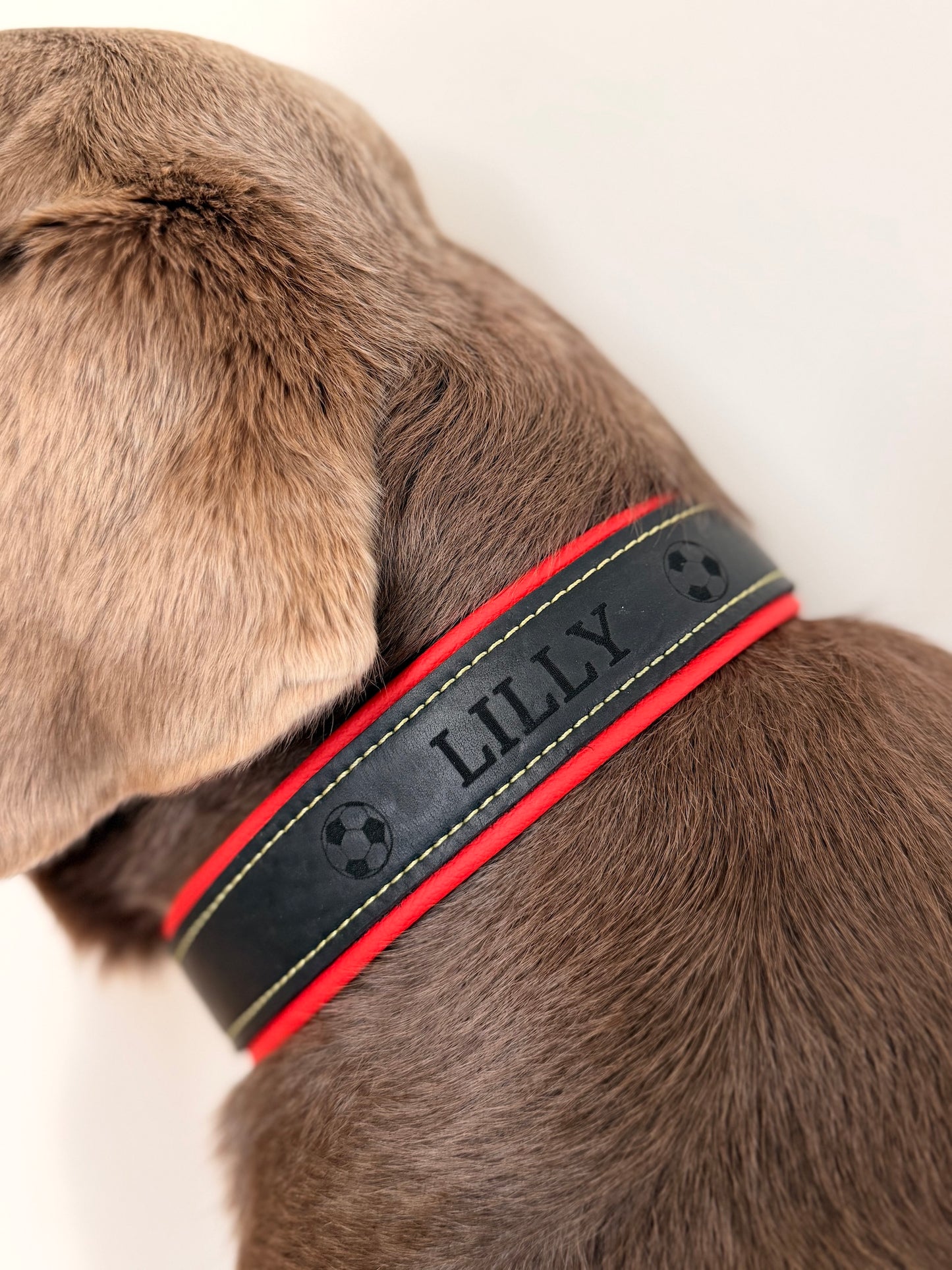 WM Halsband mit NFC Chip