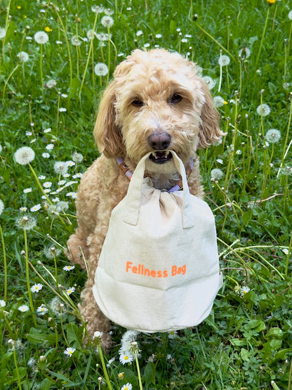Fellness Bag